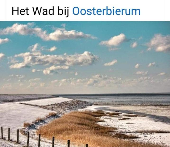 Tzummarum 4-Persoons Vakantiehuisje Simmerwille מראה חיצוני תמונה